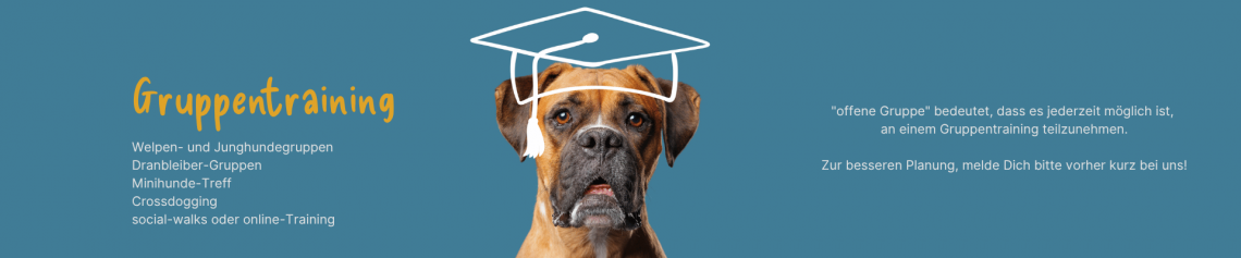 Gruppentraining