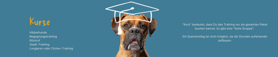 Kurse, Special-Trainings, Workshops