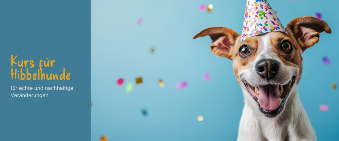 Hibbelhunde-Kurs