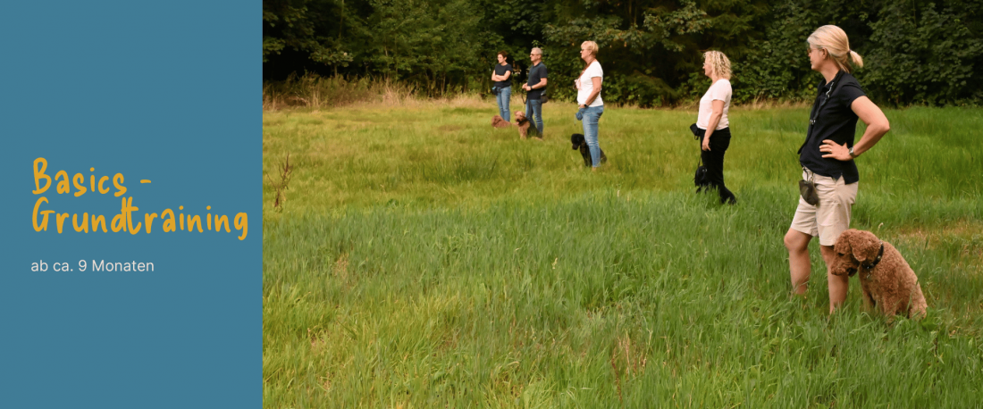 Basics - Das Grundtraining