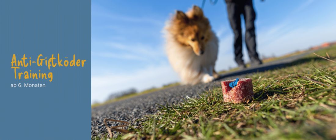 Kurs: Antigiftköder-Training