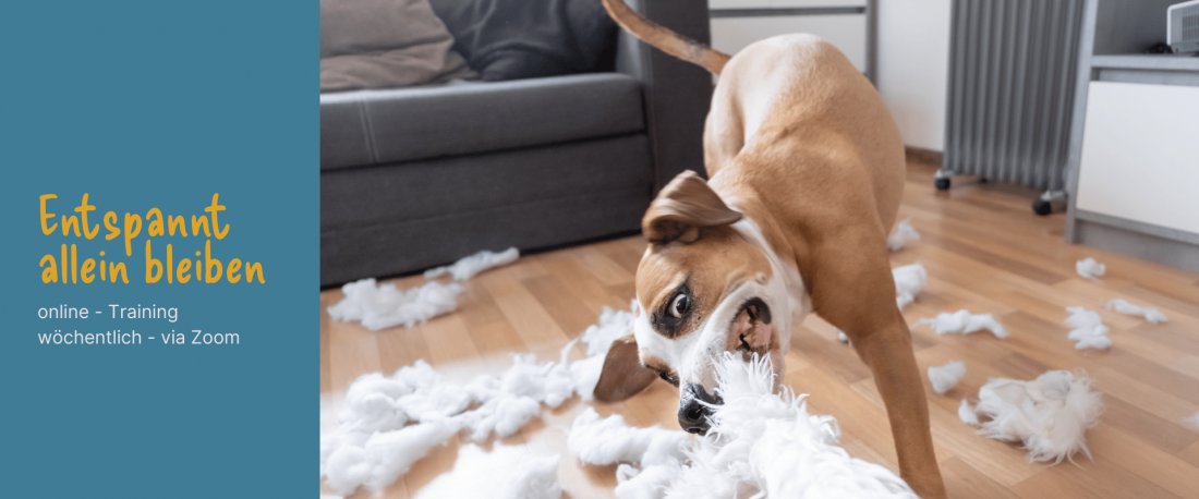 online-Kurs: Entspannt allein bleiben