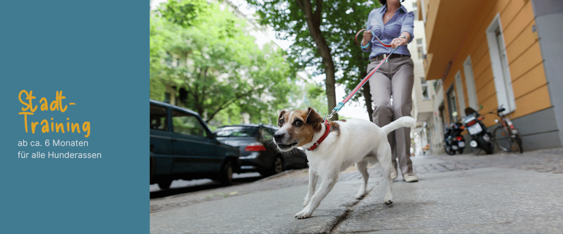 Stadttraining